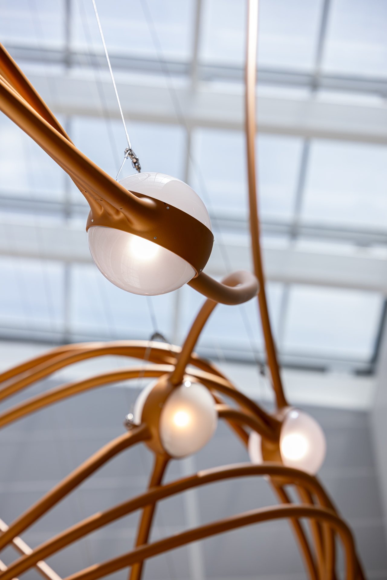 Denver International: Constellations