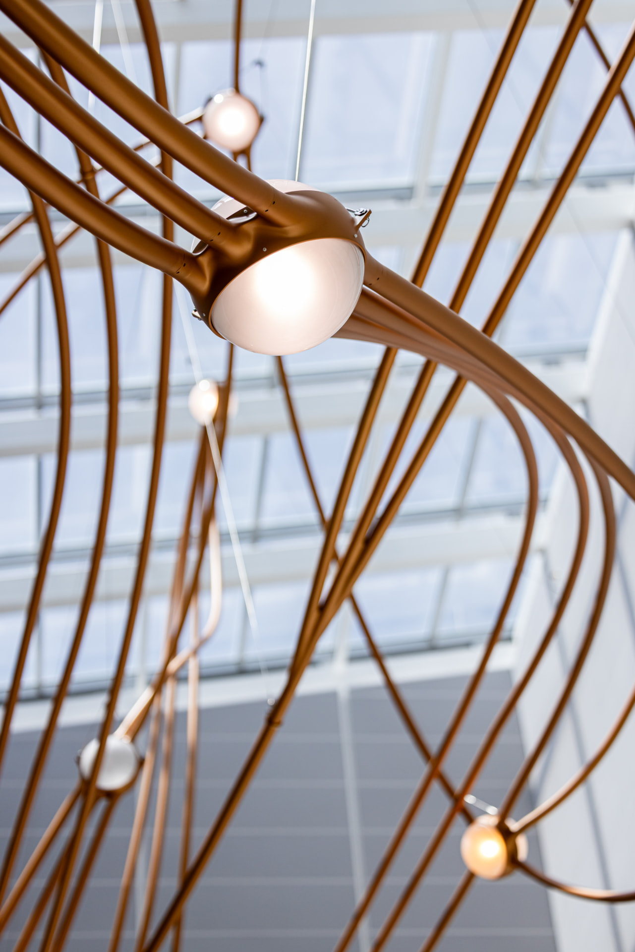 Cluster of illuminated star nodes among sweeping copper arcs