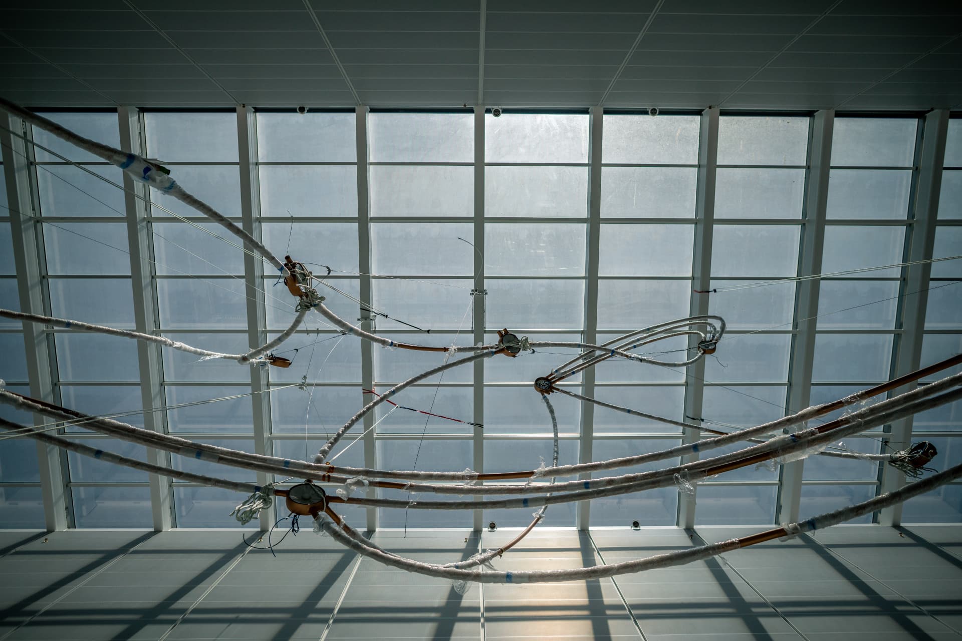 Crossing wrapped arcs and star nodes silhouetted against the glass roof